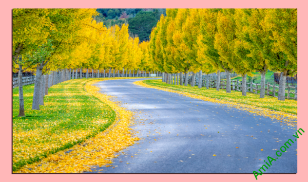 Tranh phong cảnh hàng cây mùa thu lá vàng khổ cỡ lớn