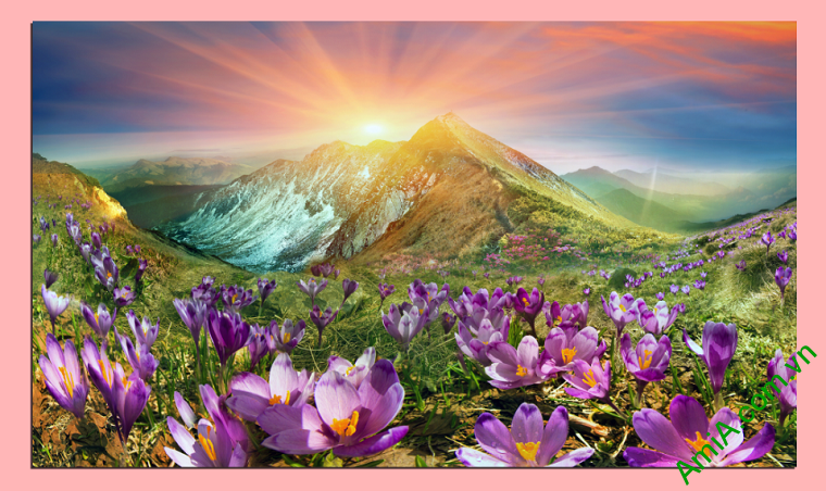 Bức tranh phong cảnh cỡ lớn đồi hoa nắng AmiA343