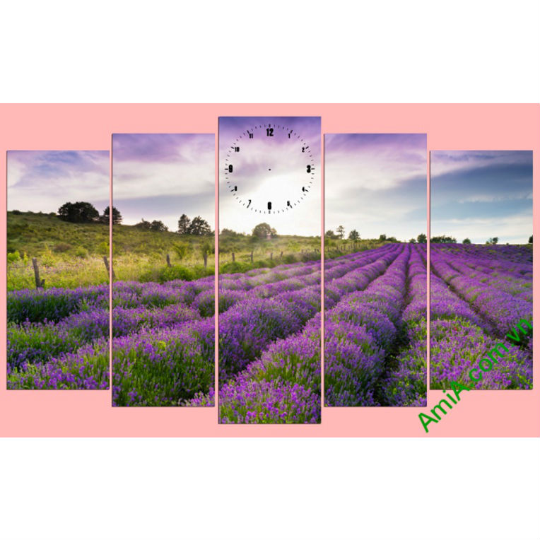 Tranh Phong Cảnh Cánh Đồng Hoa Lavender Đơn Giản Mà Đẹp