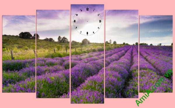 tranh phong canh canh dong hoa lavender dep
