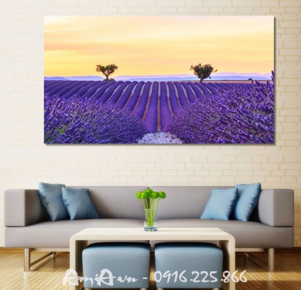 tranh tre tuong canh dong hoa lavender