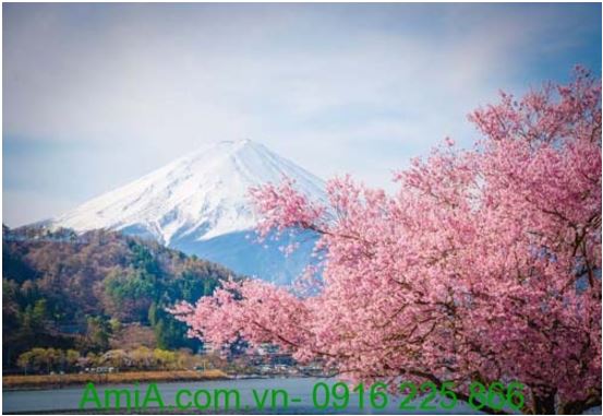 36 cảnh núi Phú Sĩ cỗ giành có tiếng nhất về núi Phú Sĩ  Tin tức Nhật Bản