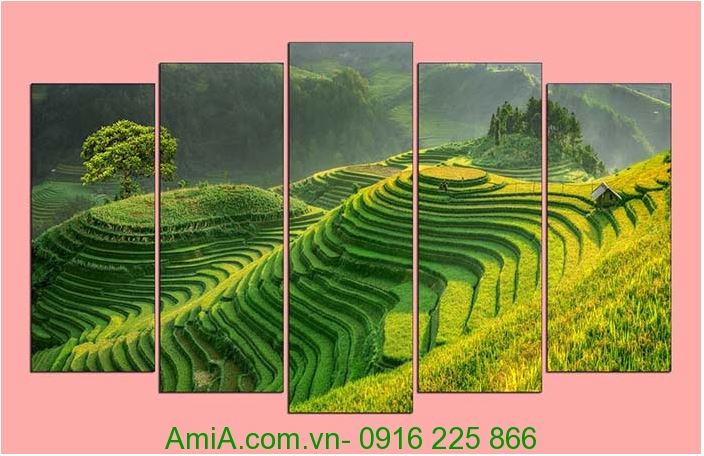 Tranh phong cảnh ruộng lúa bậc thang đẹp ghép bộ Amia 1117