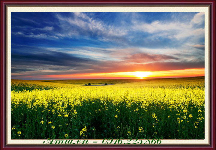 Tranh phong cảnh mặt trời lúc bình minh trên đồng hoa - AmiA - Nội thất  đẹp, Giá rẻ tại Kho