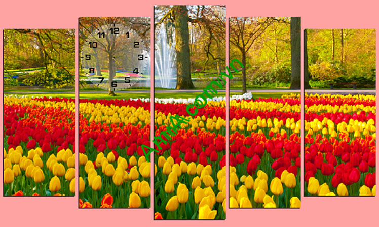 tranh phong canh vuon hoa tulip dep