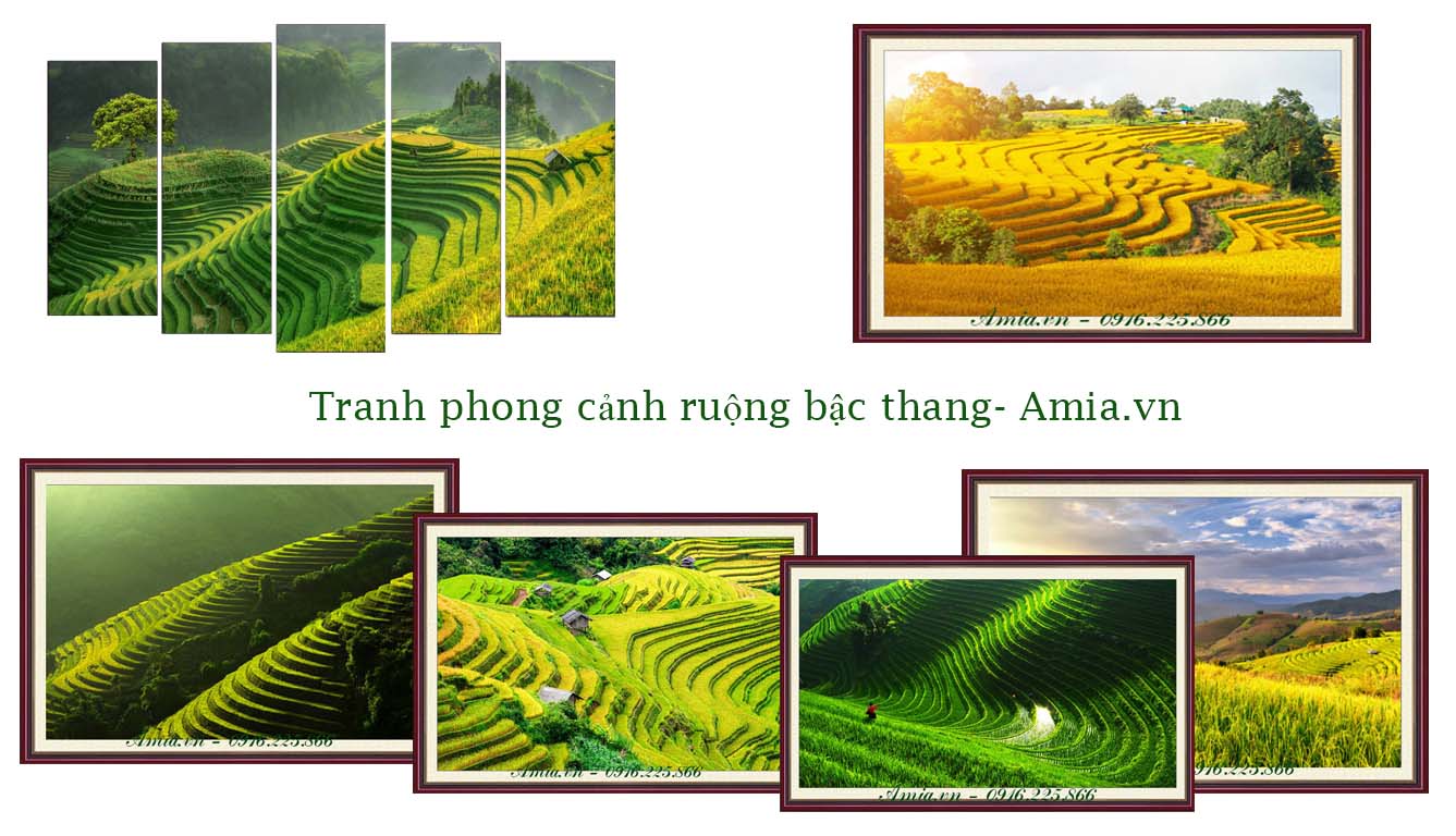 tranh phong canh ruong bac thang trang tri kh