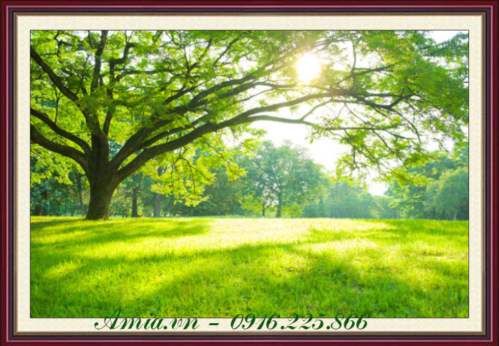Tranh phong cảnh thiên nhiên cây xanh - AmiA - Nội thất đẹp, Giá rẻ tại Kho