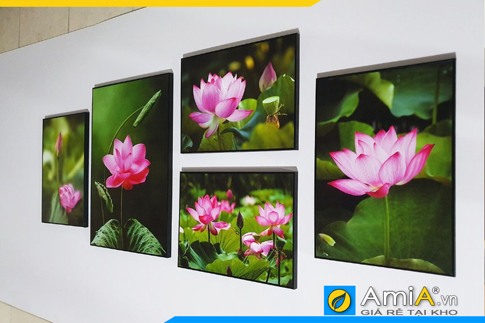 Hình ảnh thực tế mẫu tranh canvas hoa sen chụp tại xưởng của AMiA