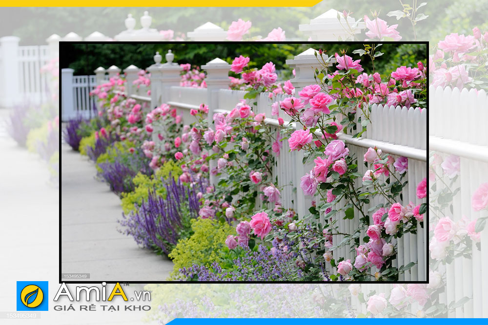 Hình ảnh Tranh treo tường hoa hồng đẹp lãng mạn AmiA HH02