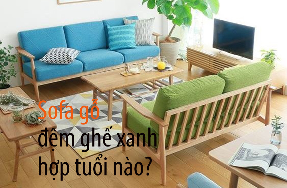 Sofa gỗ đệm màu xanh hợp tuổi nào theo phong thủy?