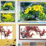 Hình ảnh Mua tranh hoa đào hoa mai chơi tết ở đâu đẹp uy tín tại Hà Nội?