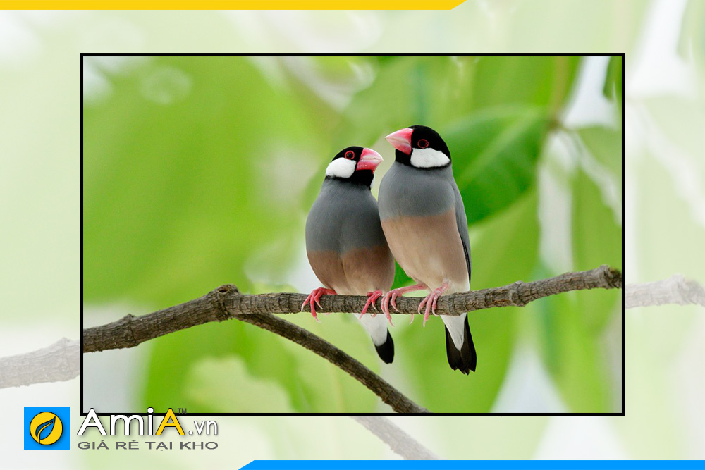 Tranh đôi chim uyên ương: Hình ảnh đôi chim uyên ương vô cùng quyến rũ và tuyệt đẹp. Tận hưởng sự hài hòa của chúng và điều này sẽ đem lại cảm giác thanh thản cho tâm hồn bạn.