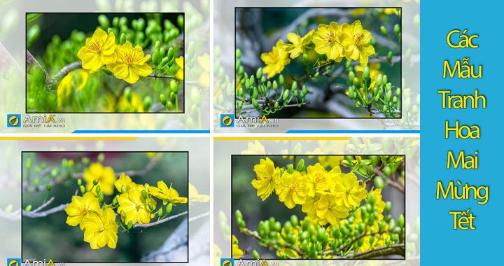 Ngắm nhìn tranh hoa mai ngày Tết là một trong những trải nghiệm thú vị nhất trong mùa Xuân này. Bức tranh rực rỡ mang đến cho bạn một khung cảnh về ngày Tết tốt đẹp và truyền thống tại Việt Nam. Hãy cùng tận hưởng những giây phút yên bình và thoải mái để thưởng thức tranh hoa mai ngày Tết.