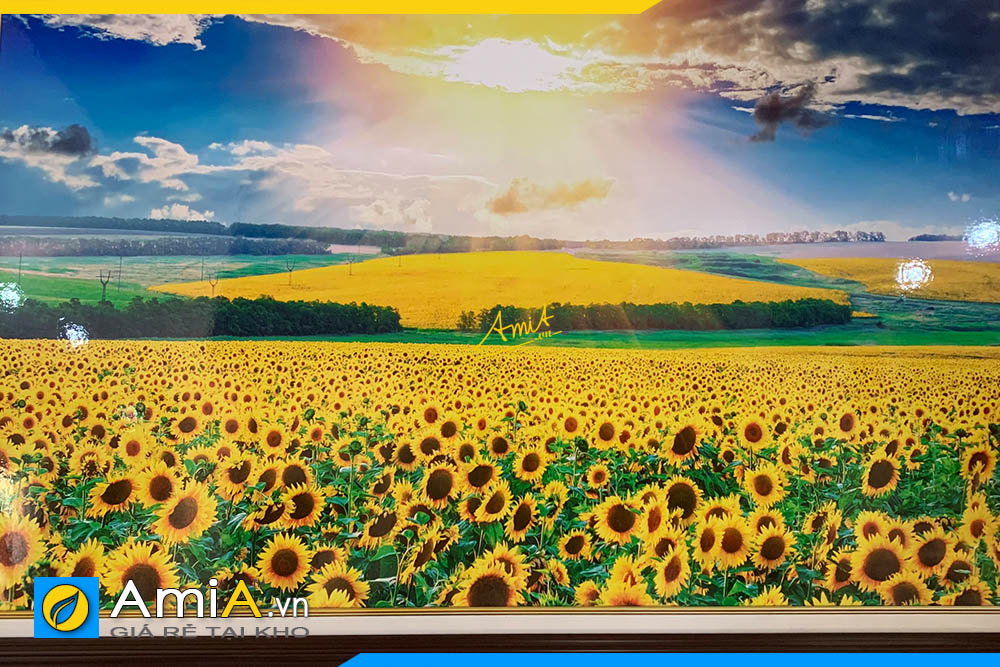 Hình ảnh Tranh phong cảnh bình minh trên cánh đồng hoa hướng dương AmiA TPK1540